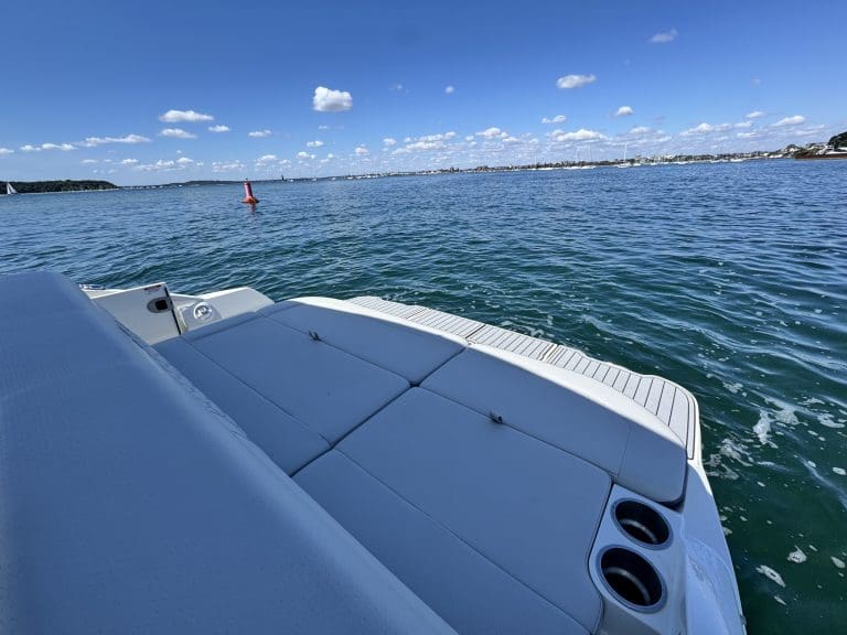Sea Ray SDX 270 — photo 18
