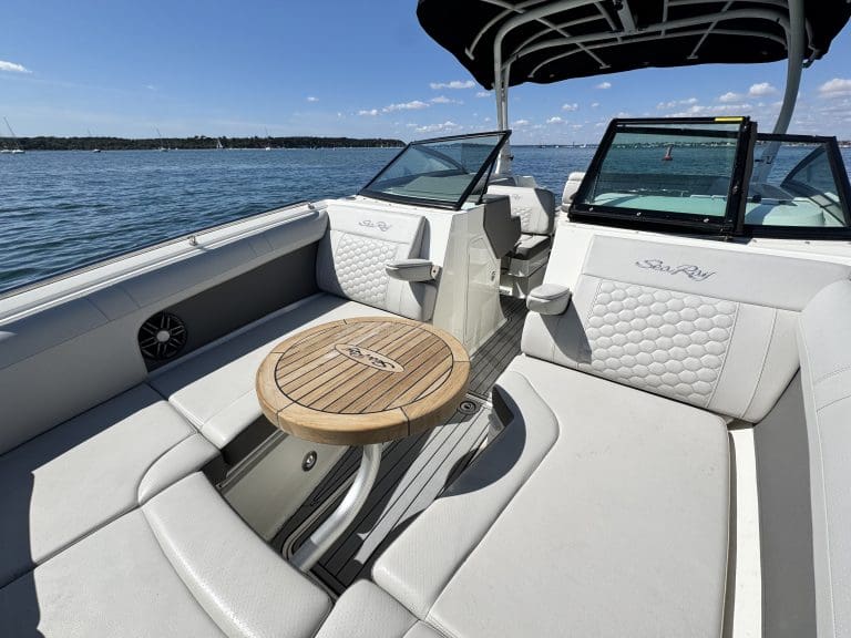 Sea Ray SDX 270 — photo 9